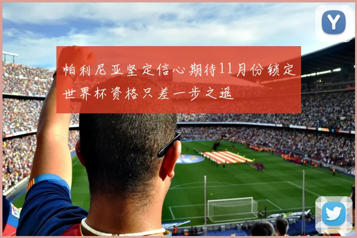 帕利尼亚坚定信心期待11月份锁定世界杯资格只差一步之遥