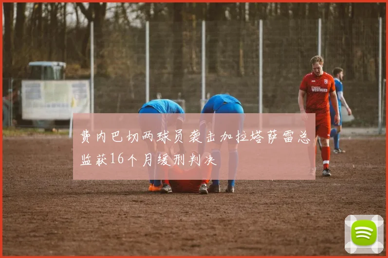 费内巴切两球员袭击加拉塔萨雷总监获16个月缓刑判决